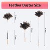 Extendable Ostrich Feather Duster, Natural Ostrich Feathers Long Handle Duster