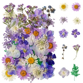 Dried Flowers, Kaluofan 40PCS Real Pressed Flowers, Dried Flowers for Resin, Dried Flowers for Crafts, for Bookmark Resin Scrapbooking Jewelry Crafts Making, Candle and Nails Decoration