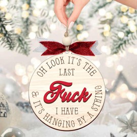 Funny Wooden Ornament, for Family, Ornament for Bestfriend. (H86)