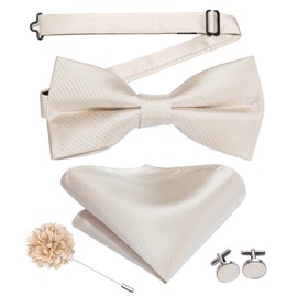 Hi-Tie Pretied Bowtie Lapel Pin Set for Men Pocket Square Cufflinks 4PCS Bow Tie Set Mens Wedding Business Party, Beige