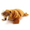 Real Stuffed Walrus nesoberi Series