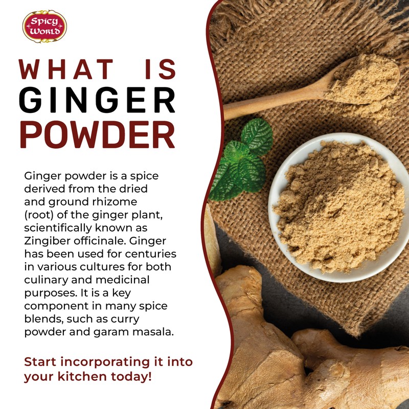 Spicy World Ginger Powder 5 Pound Bulk Bag - Ground