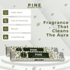 Pine Incense Sticks - Total 120 Insence-Sticks - 6 Packs