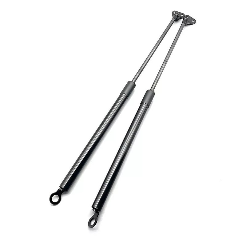 FAMUGOS 2PCS Rear Hatch Lift Supports Shocks Replacement for Honda