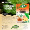 Dalgety Peppermint and Ginger Herbal Infusion 6x40g Cartons (6 Pack)