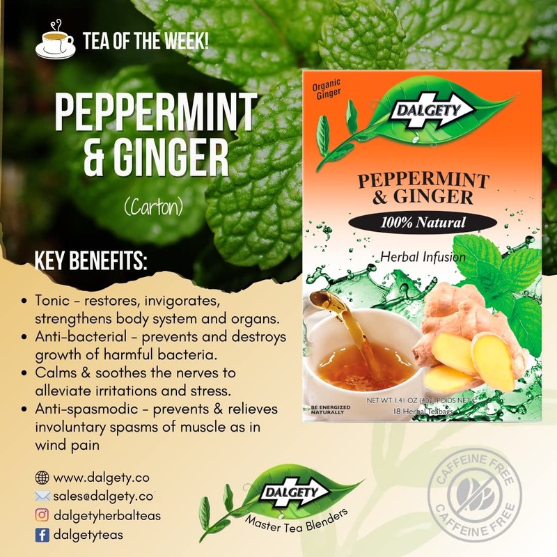 Dalgety Peppermint and Ginger Herbal Infusion 6x40g Cartons (6 Pack)