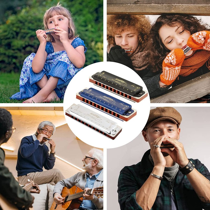East top Harmonica Blues Harmonica 10 Hole Harmonica C Tone