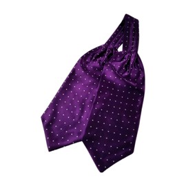 F NODE Ascot Tie Men's Scarf, Polka Dot Pattern, wide dot purple