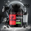 Creatina Monohidratada 1kg Bull Protein 200servicios Sabores
