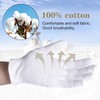 Generic 100% Cotton Gloves, 3 Pairs White, Medium (9” L