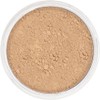 Kryolan Professional Make-up Anti Shine Powder, Natural - Medium tot