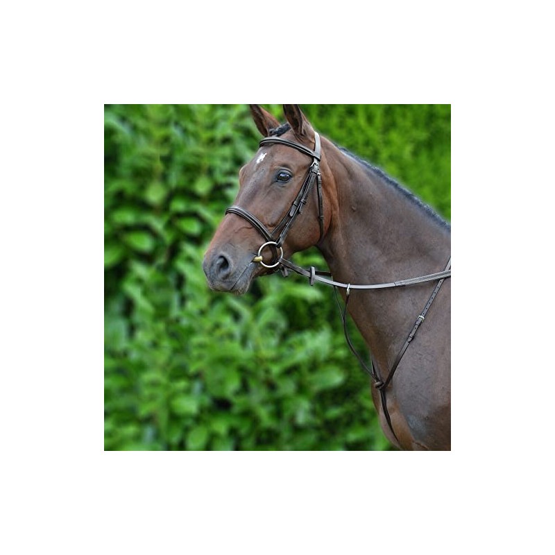 Hy Running Martingale: Brown: Pony