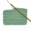 Lion Brand Yarn 24/7 Cotton DK Yarn, 1 Pack, TAMARIN