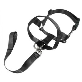 WUDQIJI Training Harness Dog Halter Pet Muzzle for Dogs Muzzle Dog Training Muzzle Dog Muzzle Black Dog Mouth Guard Training Holder Prevents Barking Biting and Chewing (XL)