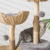 PISARRY Modern Cat Tree for Indoor Cats, Large Adult 46"