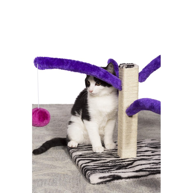 Prevue Pet Products Kitty Power Bounce 'n Spring Scratcher Furniture