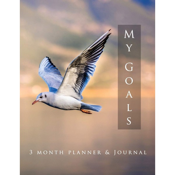 My Goals 3 Month Planner and Journal: Undated Diary/Organizer to