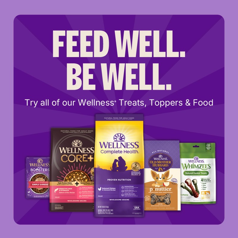 Wellness Puppy Treats, Natural, Training Treat, Grain Free, Soft Lamb