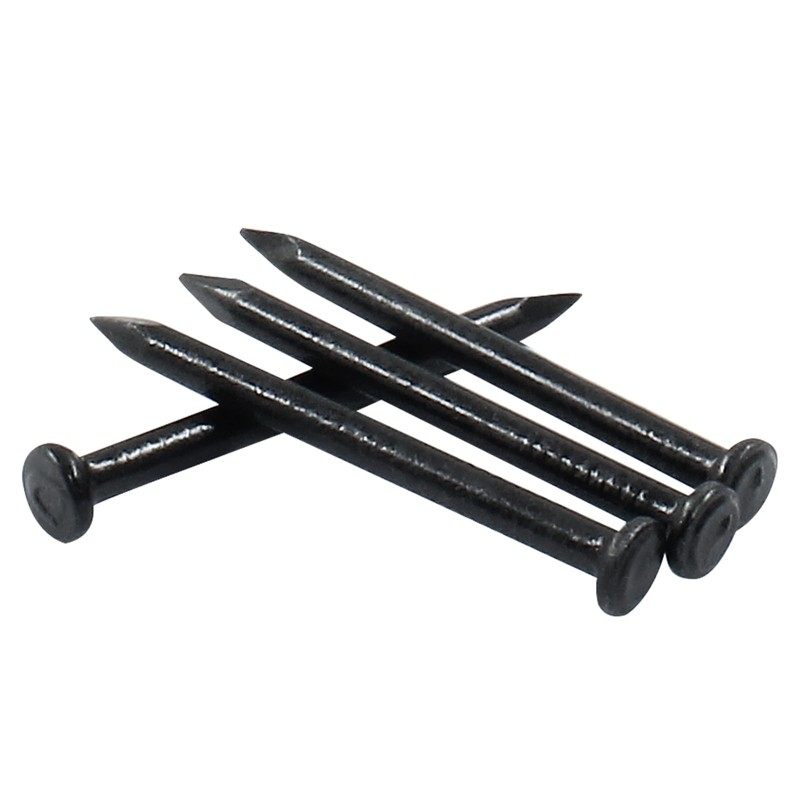 Hordion 100pcs Hardware Nails 1.5 inch, Carbon Steel Point Tip