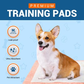 MED PRIDE Cat Pee Pads for Travel Carrier Disposable 6-Layer Ultra-Absorbent Leakproof Kitten Pads 22 X 24 in (1 Pack (5 Pads) Peach)