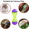 5 Pcs Breaded Dragon Toys Set Balls Bell Reptile Feeder
