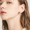 925 Sterling Silver Animal Earrings Hypoallergenic Leverback Earrings, Sterling Silver