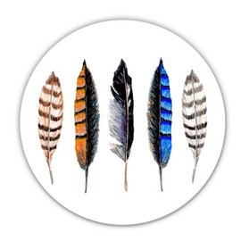 Feathers - 5" Vinyl Sticker - for Car Laptop I-Pad - Waterproof Decal