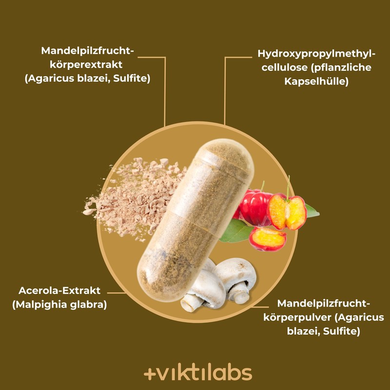 Viktilabs© Almond Mushroom - Agaricus Blazei - Capsules High Dose