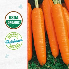 Back to The Roots 100% Organic Seed Packet - Carrot 'Scarlet Nantes' 420mg