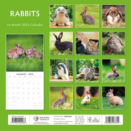 Red Robin 2025 Rabbits Monthly Wall Calendar | 12" x 24" Open | Premium Thick & Sturdy Paper | Hangable 12 Month Calendar | Plastic Free | 4 Month Transition Page for 2024