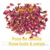 majcka4 Rosa de castilla Rosa de Castillo 3oz 6 BOLSAS