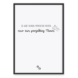 Donari ® Poster with Horse Sayings without Frame in A4, Wall Decoration in Black and White for Living Room and Bedroom, Gift for Pet Owners (A4, Horse - Team)