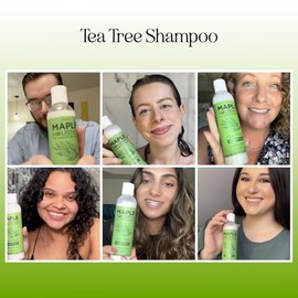 Clarifying Shampoo for Build Up & Oily Hair - Tea Tree Shampoo for Men and Women with Rosemary Essential Oil for Oily Hair and Scalp - Color Safe Vegan Sulfate Silicone & Paraben Free (8 Fl Oz) | Maple Holistics