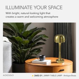 Adesso Cordless Table Lamp with 3-Level Touch Dimmer & Built-in Rechargeable Battery – 15" Tall Touch Lamp, Antique Brass Finish