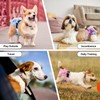 Reusable Dog Diapers Female Washable, Premium Doggie Diapers for Female