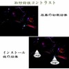 Toyota Camry 70 Series 50 Series 40 Series Car Logo