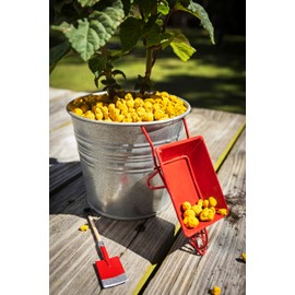 Nature, Leca Clay Pebbles for Plants - Sustainable Expanded Clay Balls for Healthy Roots, Handmade in Colombia, Ideal for Hydroponics, Indoor Gardens, and Moisture Retention, 32 Oz (Yellow)