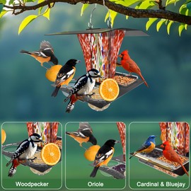 LUJII 6-in-1 Solar Bird Feeder with RGB String Lights, Hand Blown Glass, 2 Removable Trays for Bird Seed, Suet Ball, Mealworm, Oriole Orange Fruit, Jelly or Water, Red