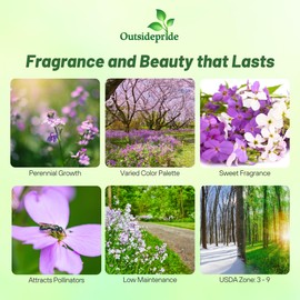 Outsidepride Dame's Rocket Flower Seeds - 5 Lbs. Perennial, Easy to Grow, Deer Resistant & Self-Seeding Wildflower Seeds for Planting Vibrant and Fragrant Blooms in Pollinator & Butterfly Gardens