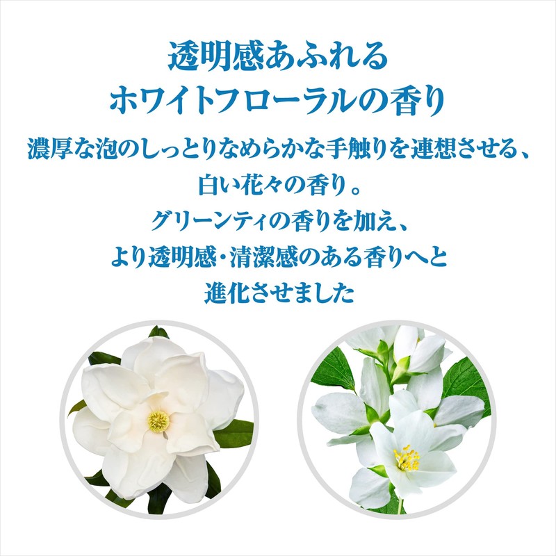 SENKA Perfect Whip Speedy x 2 Pieces + Bonus