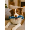 Durable Rope Dog Chew Toy for Tug and Fetch, TPR