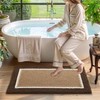 DEXI Bathroom Rugs 32x20, Soft Absorbent Bath Mat, Brown and