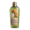 Fruitland Eco Ennea Argan Moisture Body Oil 200ml / 과일나라