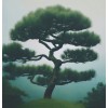 MySeeds.Co Pinus echinata (Shortleaf Pine) Tree Seeds, Graceful Display, Distinctive