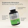 Veralife Berberina Hcl Suplemento Cápsulas 550