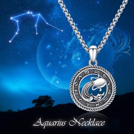 PARYFO Constellation Necklace 12 Zodiac Sign Pendant Necklace Horoscope Chain Oxidised Pendant Constellations Astrology Necklace Birthday Gifts for Women Men Unisex, Sterling Silver