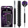 WINMAU Apocalypse 21 gram brass darts set with flights and