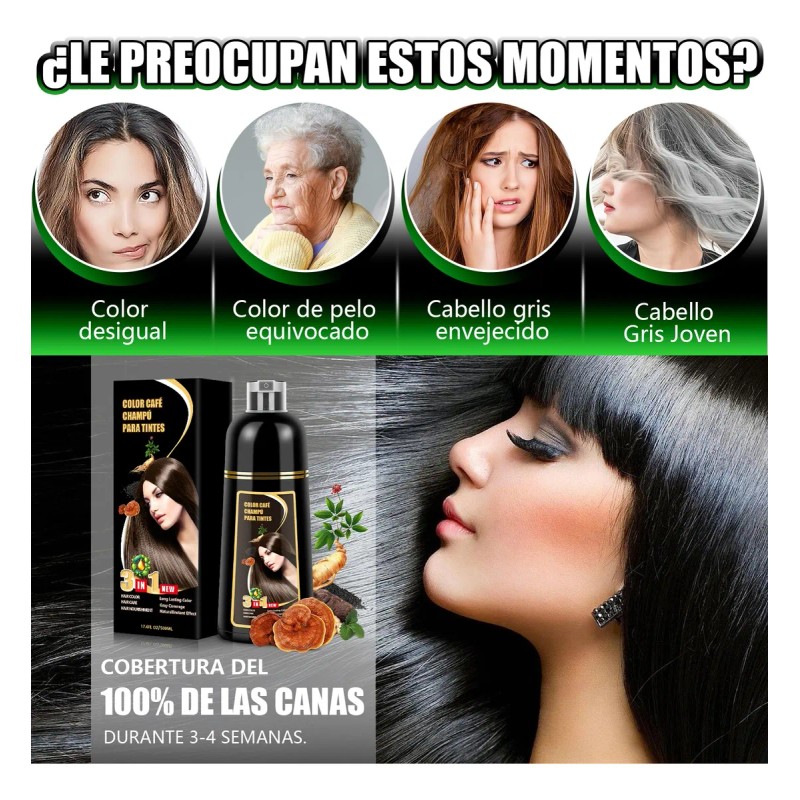 Shampoo Tinte Instantaneo Cubre Canas Extracto Plantas 500ml