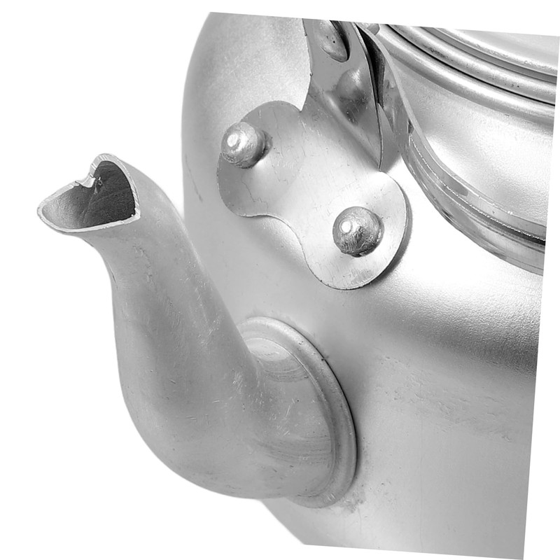 OHPHCALL Metal Tea Pot with Handle 800ml Water Kettle Teapot