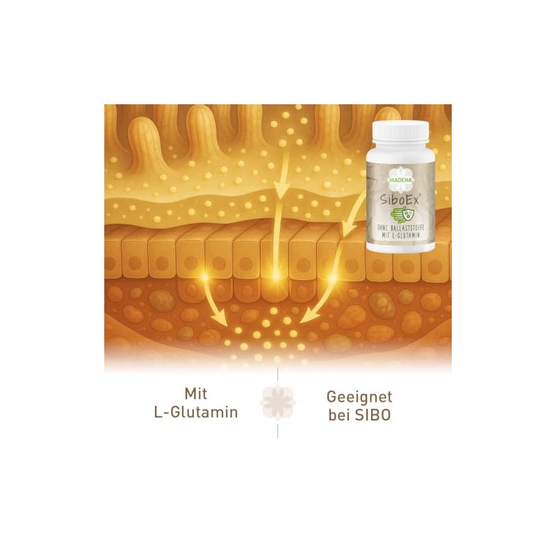 MADENA SiboEx intestinal bacteria complex without soluble fibre, 60 capsules